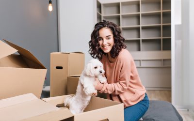 Moving with Pets: Tips for a Calm Transition
